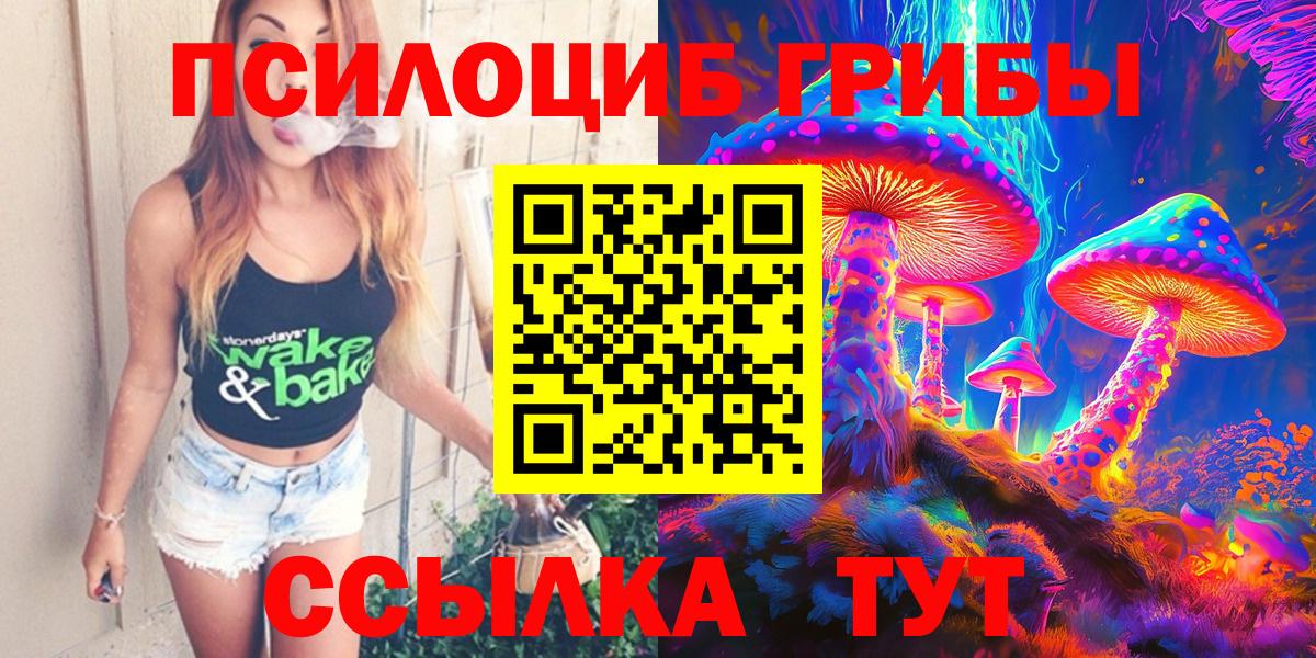 Галлюциногенные грибы Cubensis  цены   Новоалександровск  Вход с VPN 